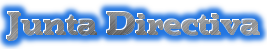 junta directiva